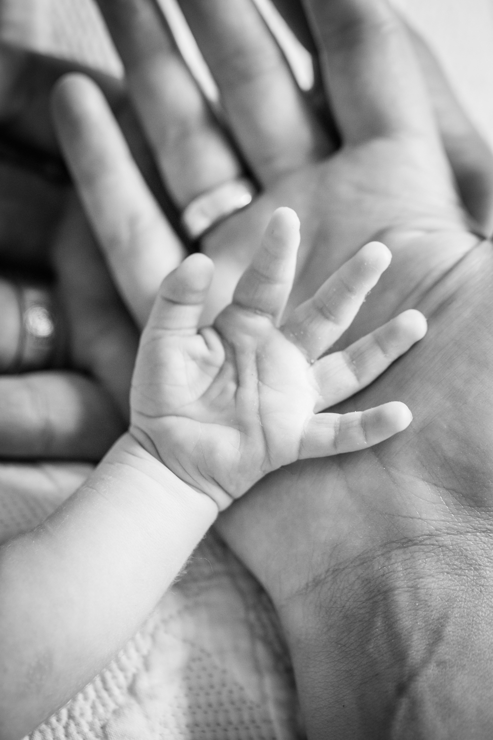 Familienhände und Babyhand
