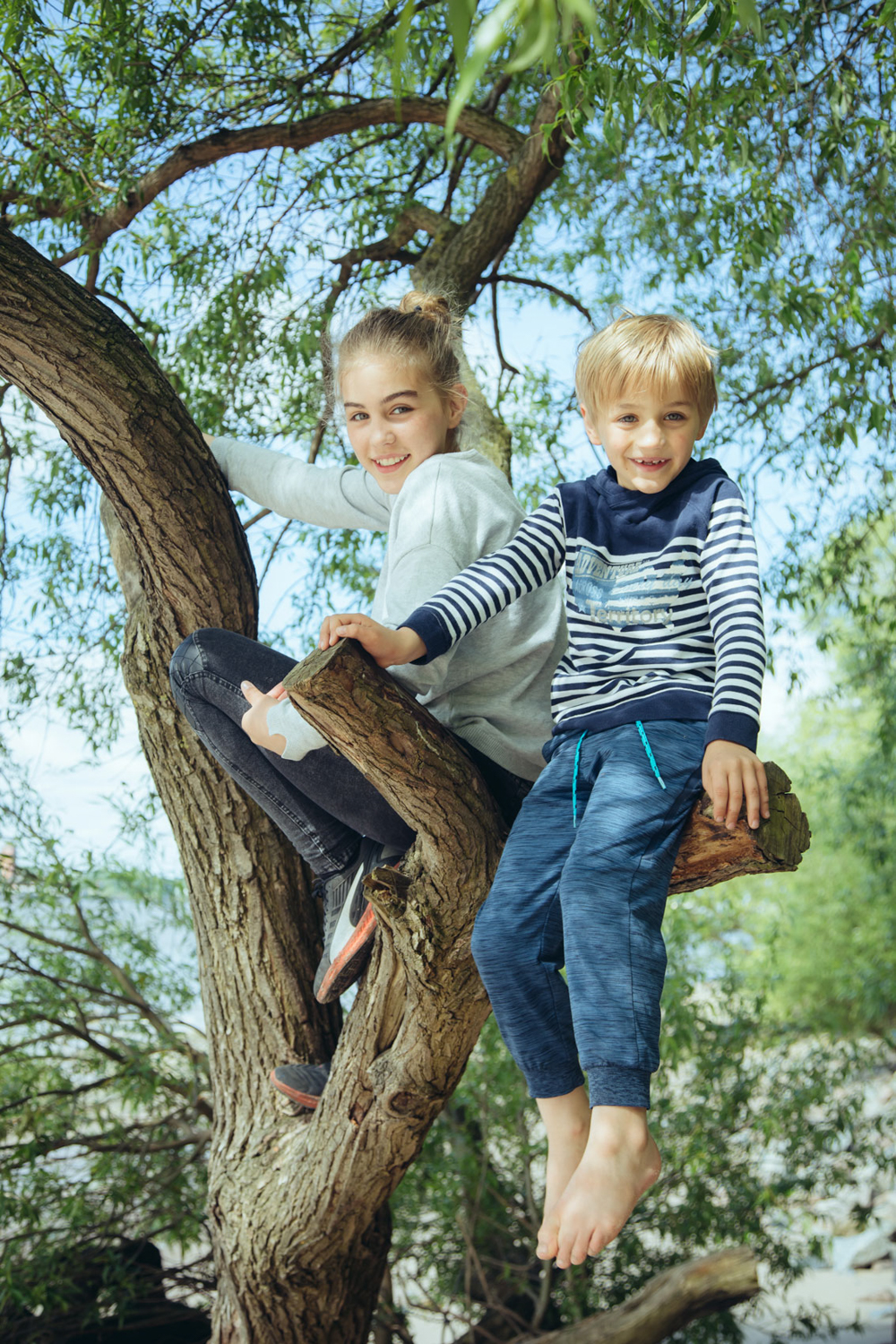 Kinder klettern durch Baum am Elbstrand